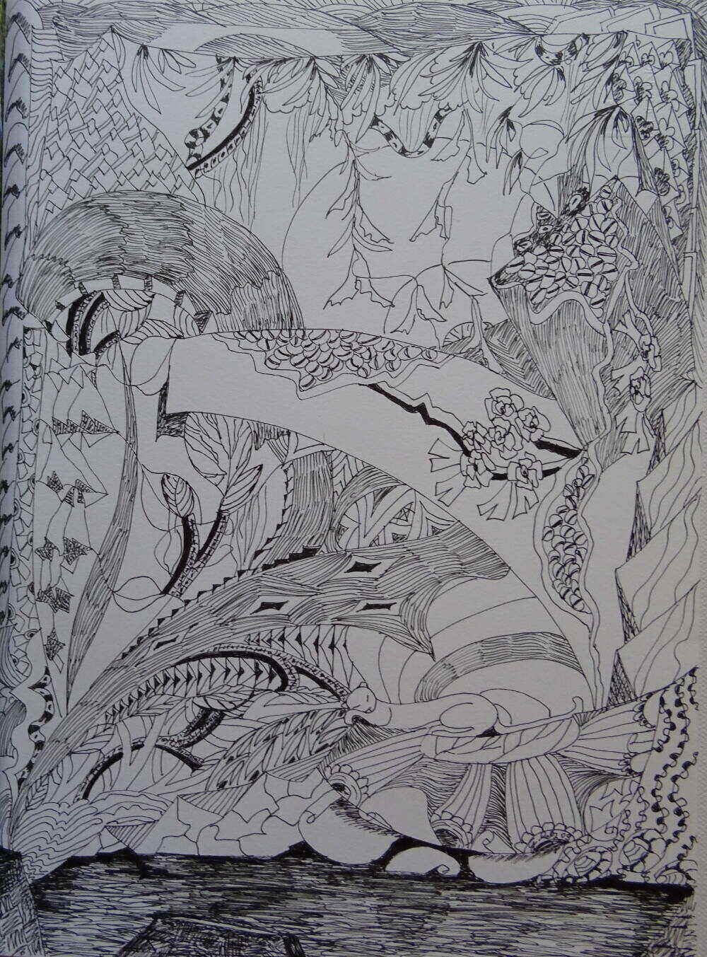 Siesta